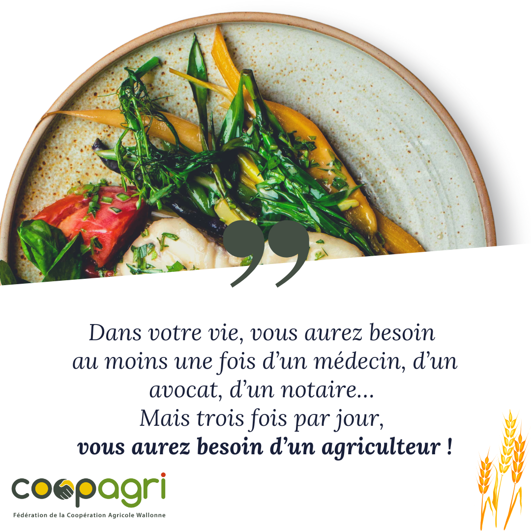Odoo - Echantillon n°1 pour trois colonnes