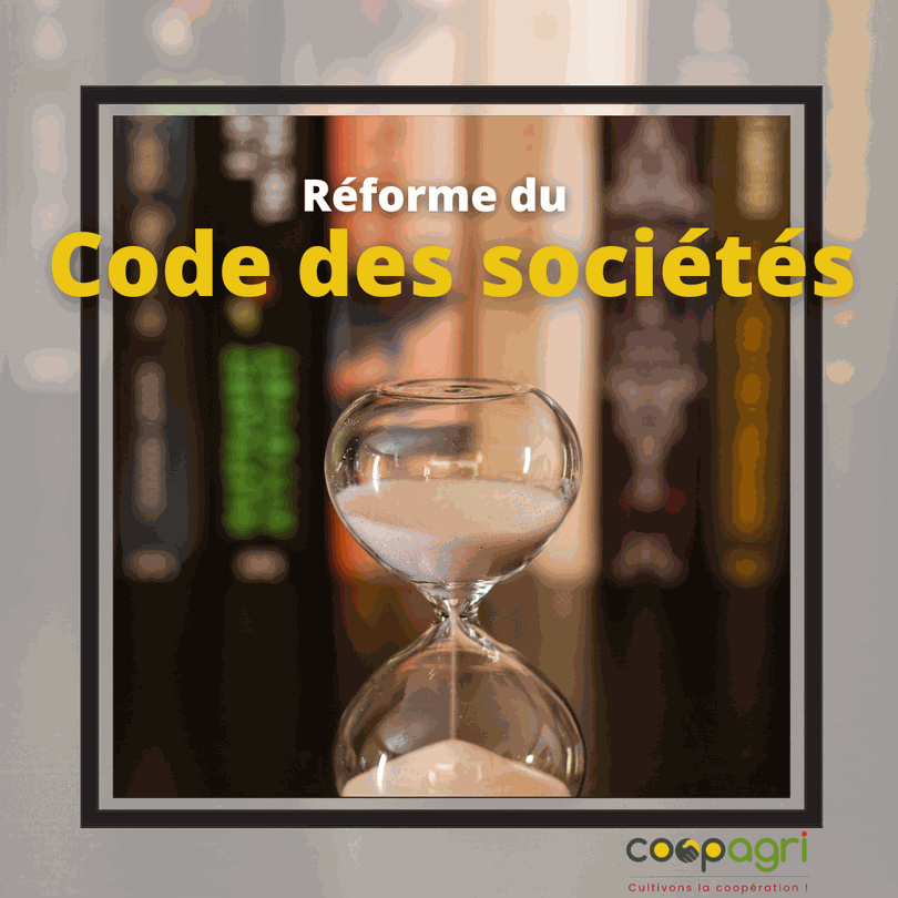 Odoo - Echantillon n°1 pour trois colonnes 